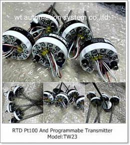 RTD PT100 And Programmabe Transitter Model : TW23